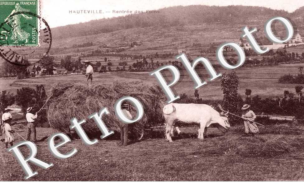 rentree des foins