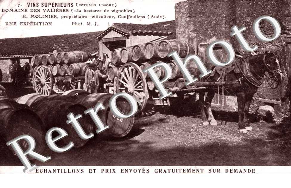 VINS SUPERIEURS