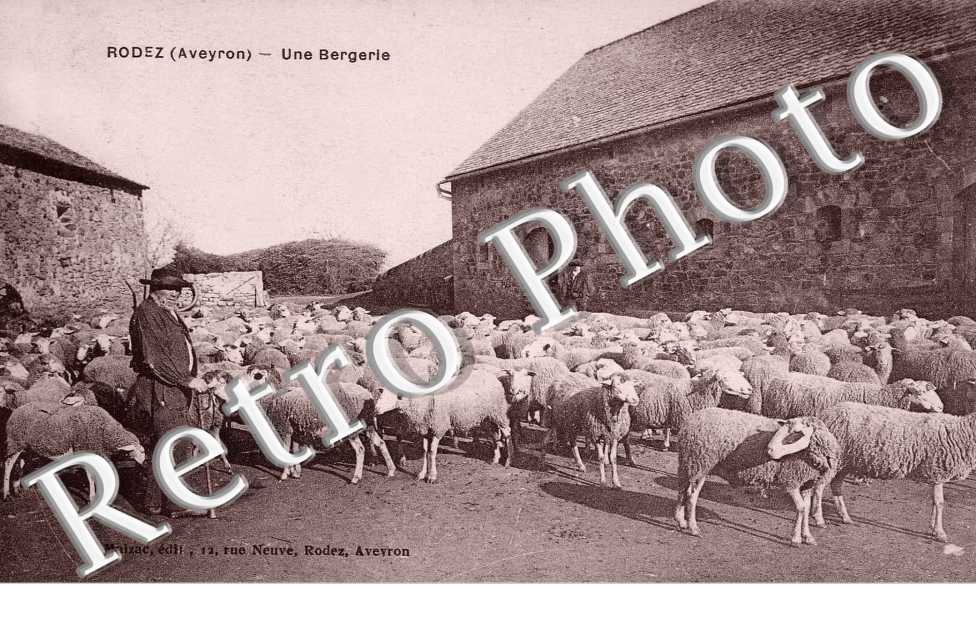une bergerie