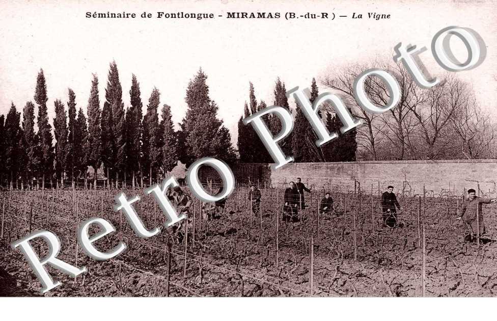 seminaire de fontlongue - la vigne