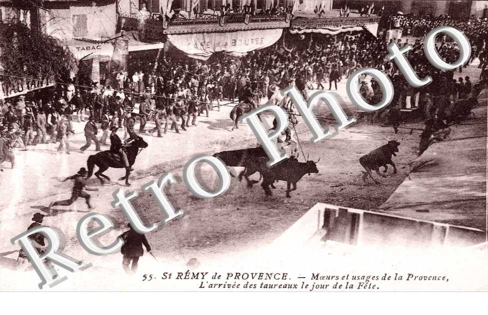 l&#039;arrivee des taureaux le jour de la fete