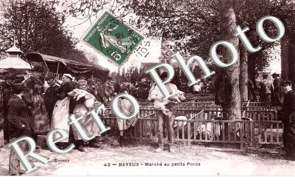 marche aux petits porcs