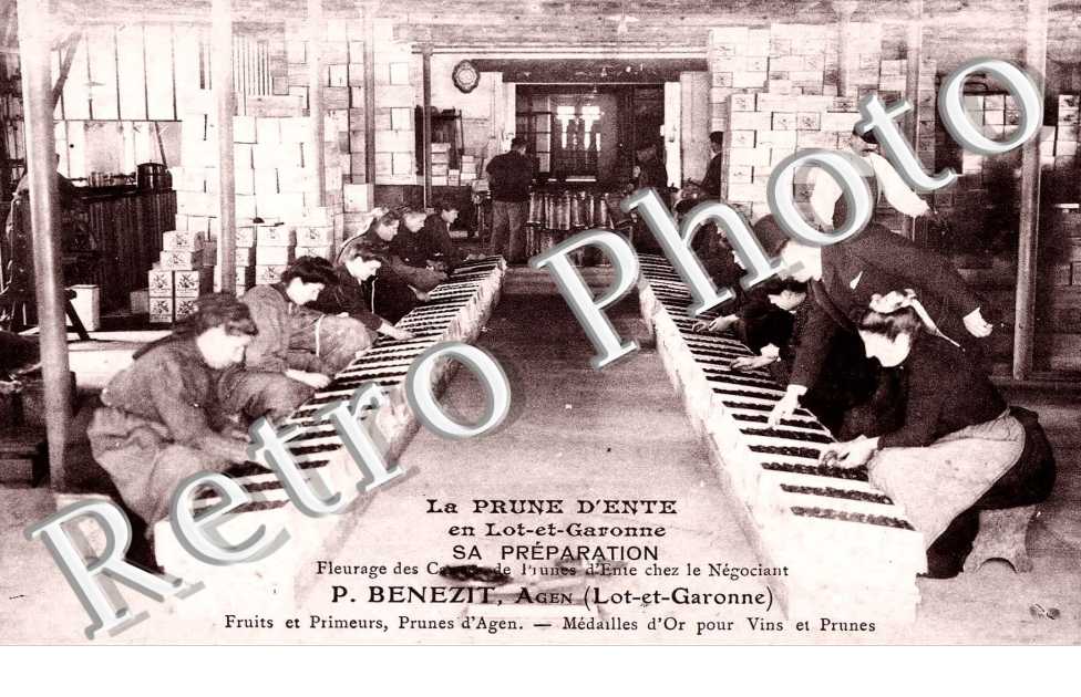 La Prune d&#039;Ente. Sa Preparation.  P. BENEZIT