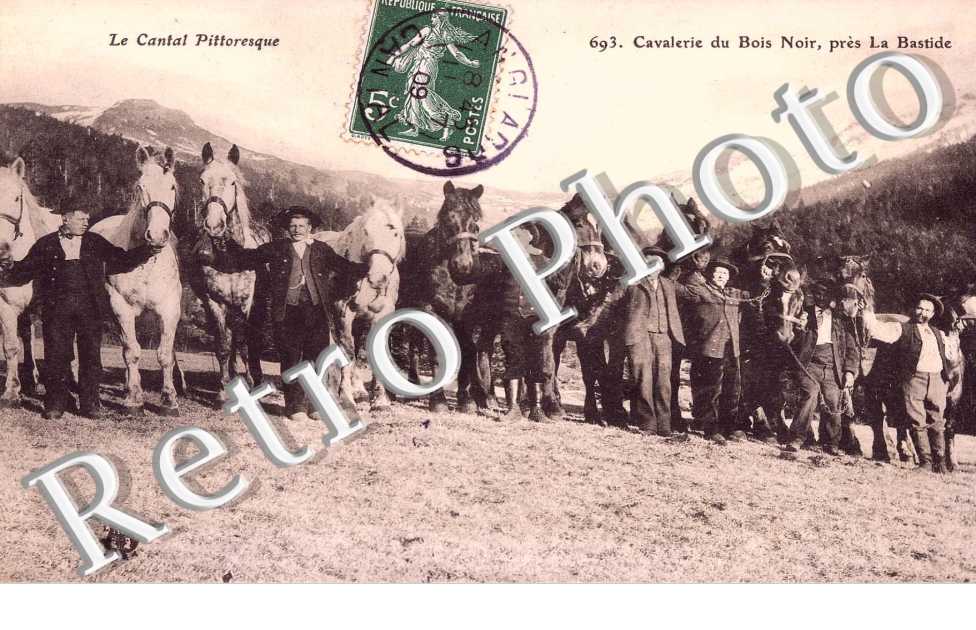 Cavalerie du bois noir