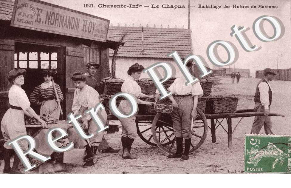 Le Chapus, emballage des huitres de Marennes