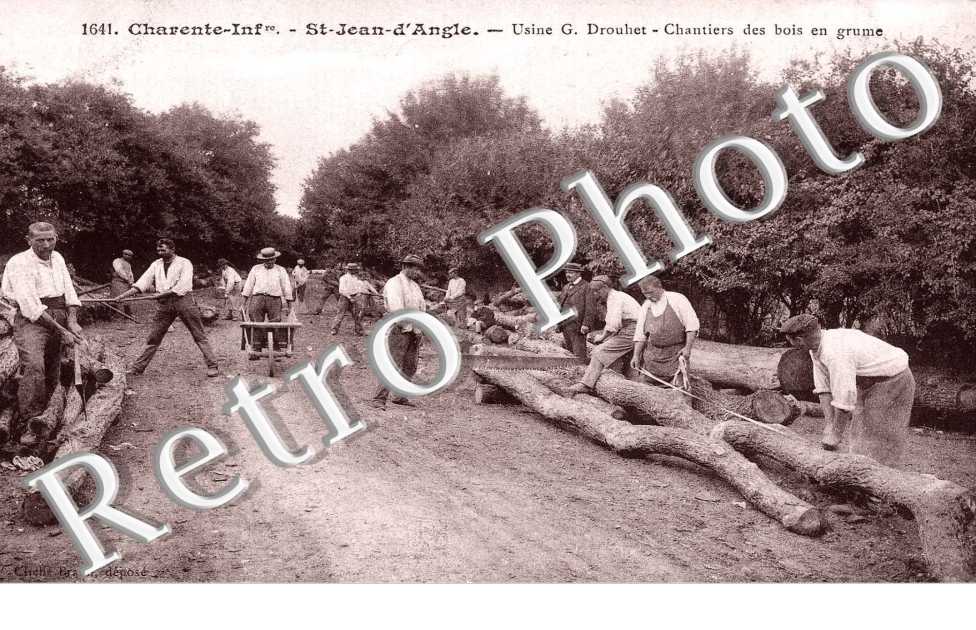 CHANTIERS DES BOIS EN GRUME