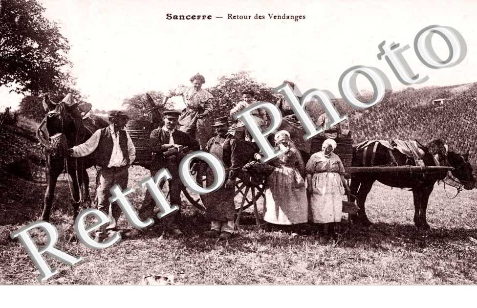retour des vendanges