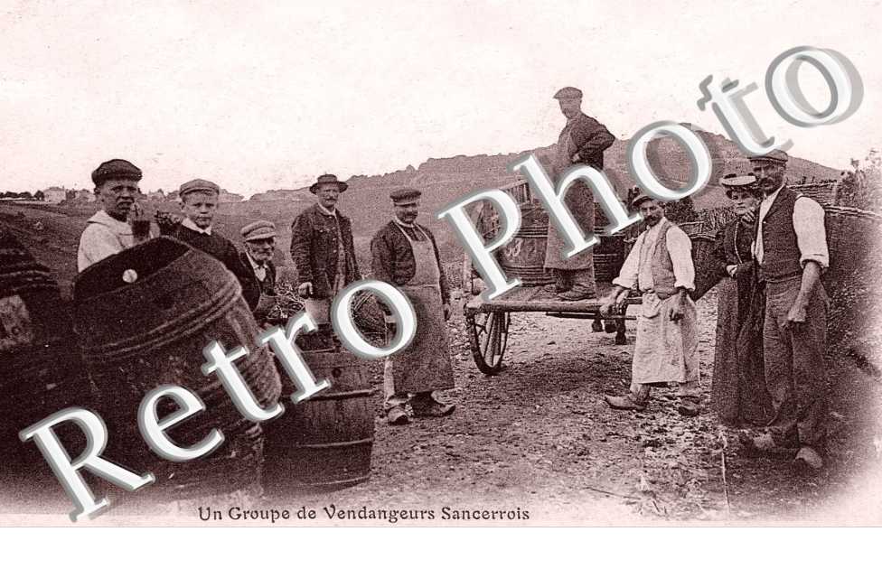 VENDANGEURS SANCERROIS