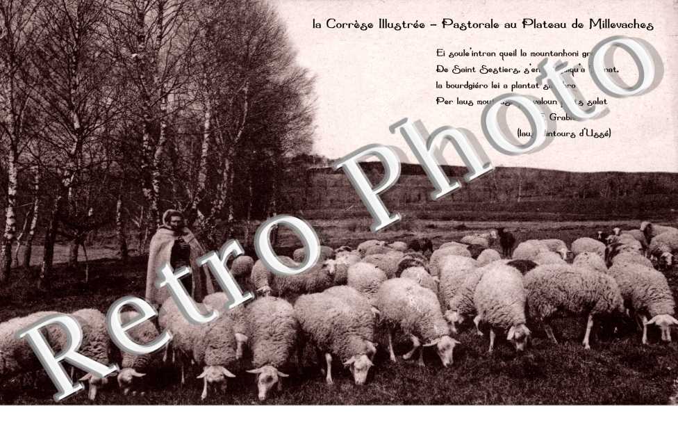 pastorale au plateau de millevaches