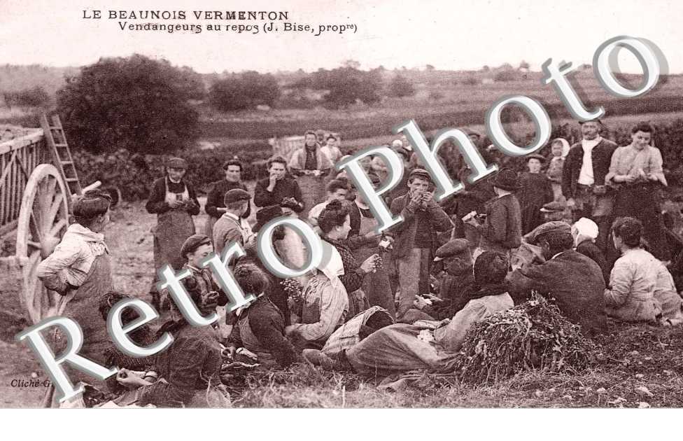 vendangeurs au repos