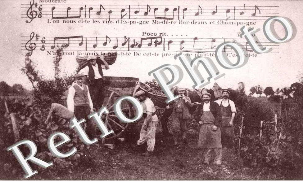 la vendange des grands vins - Chanson