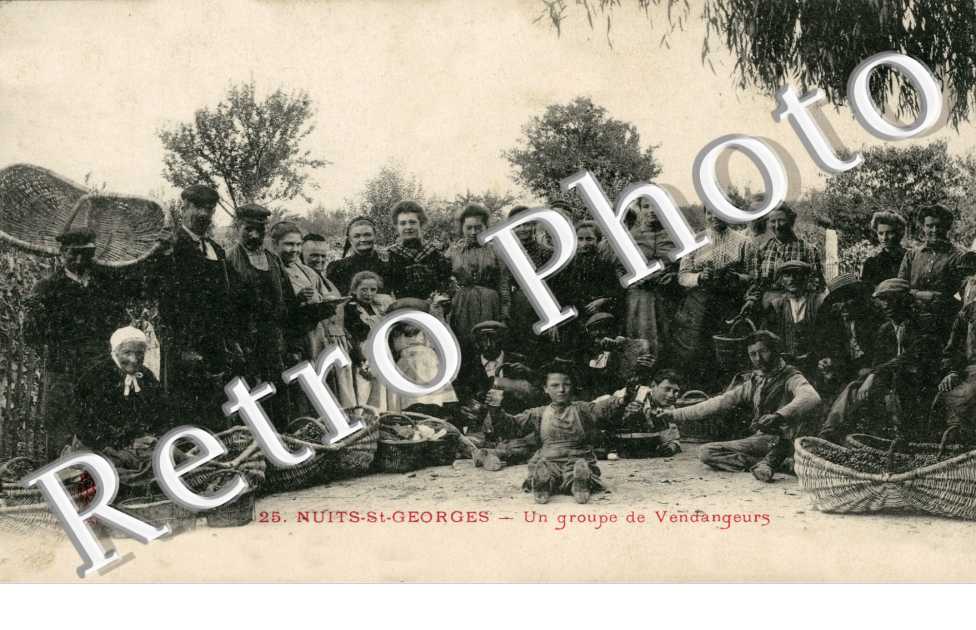 Un groupe de Vendangeurs