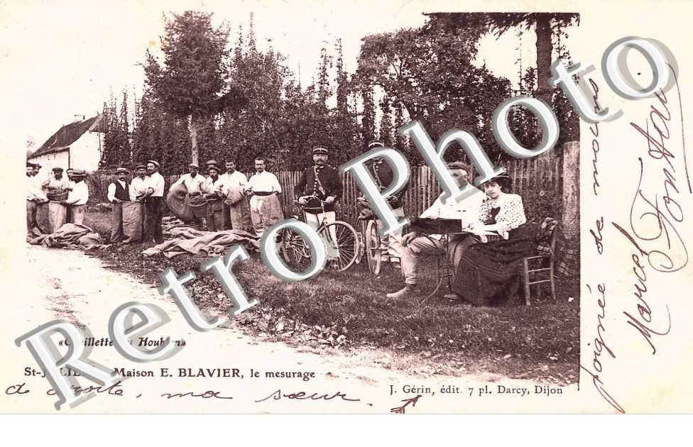 Maison E. Blavier, le mesurage, cueillete du hublon