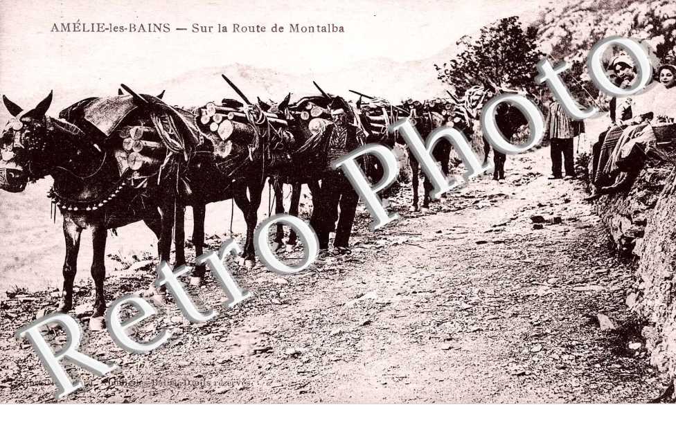sur la route de Montalba