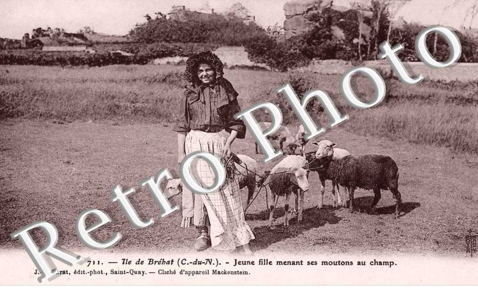 jeune fille menant ses moutons au champ