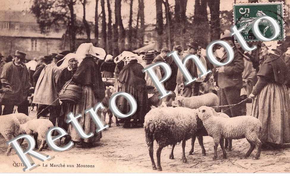 le marche aux moutons