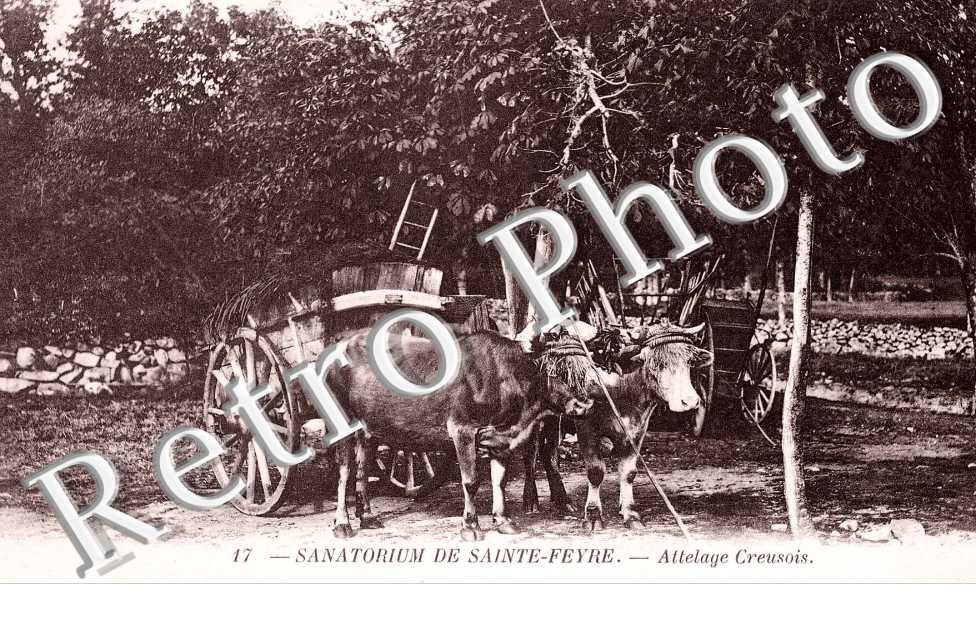 Sanatorium - attelage Creusois