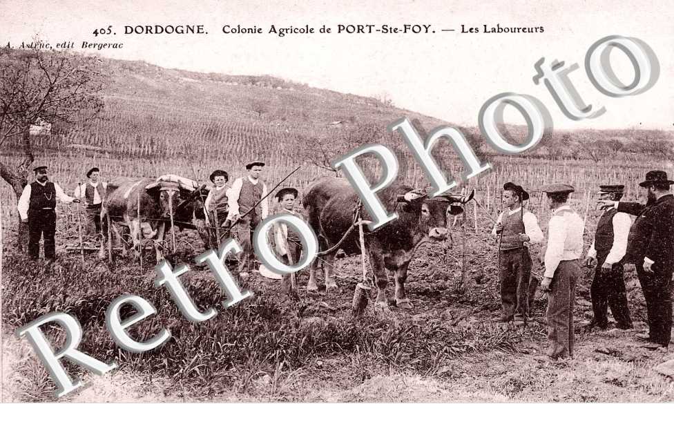 Les laboureurs