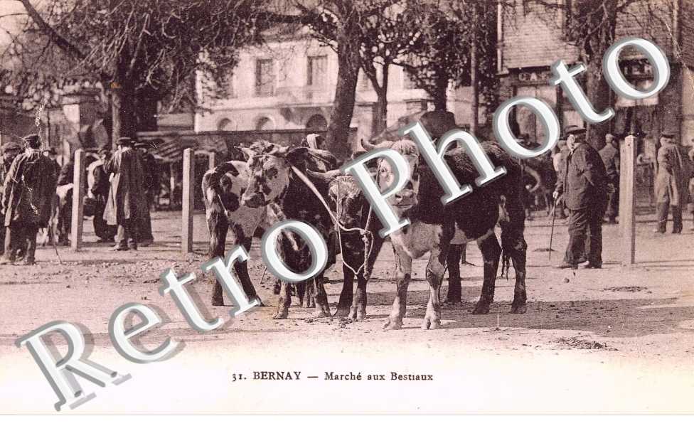 marche aux bestiaux