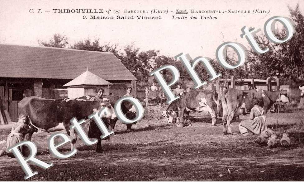 Maison saint-Vincent - traite des vaches