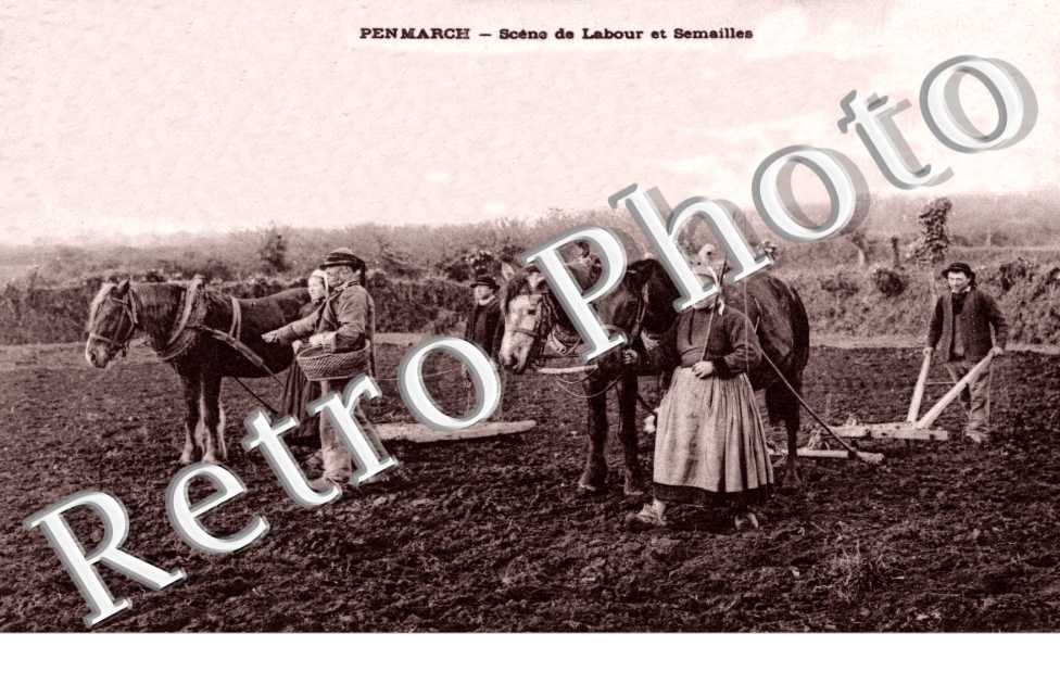 scene de labour et semailles