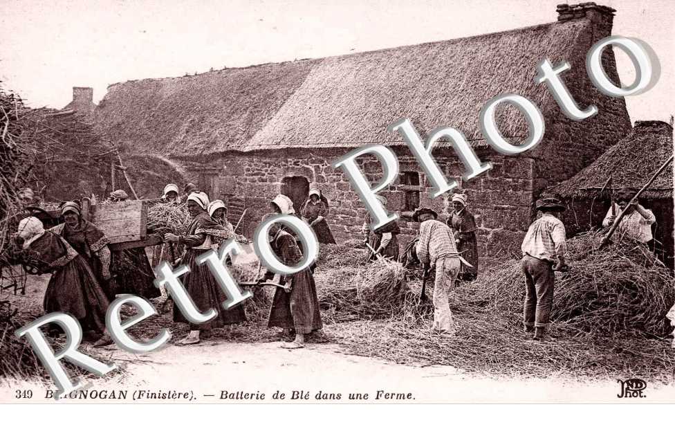 Batterie de ble dans une ferme