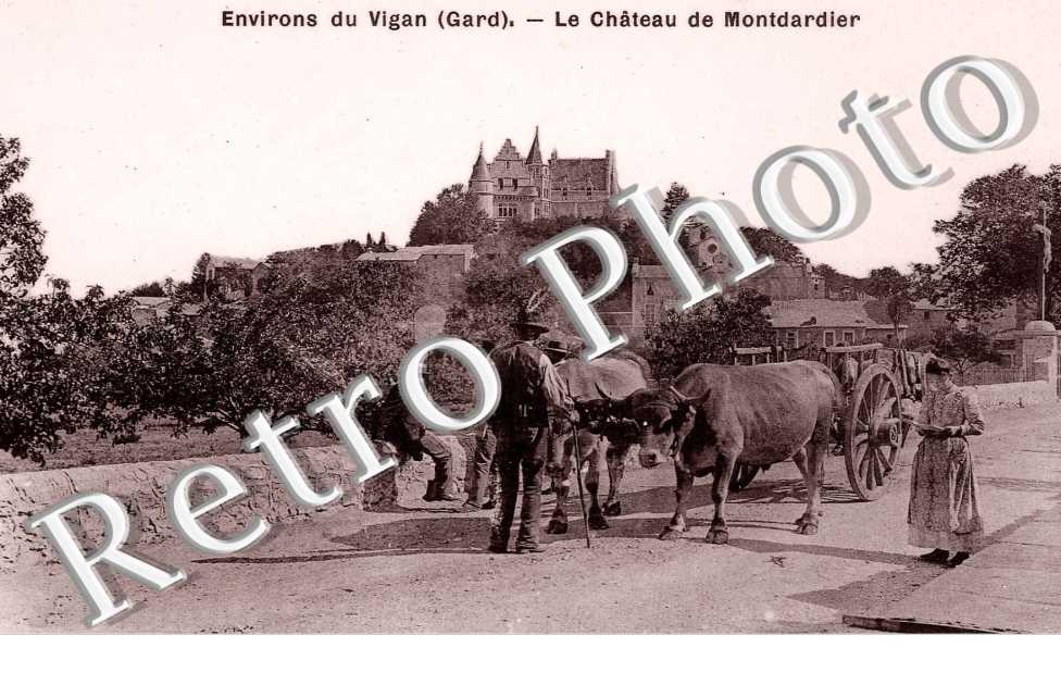 le chateau de Montdardier