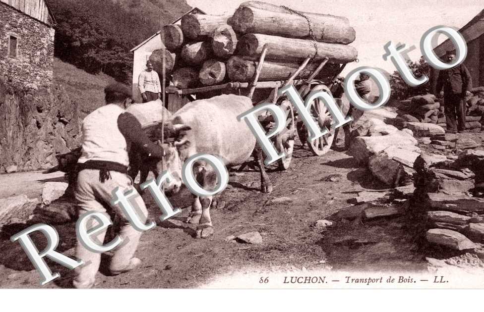 transport de bois