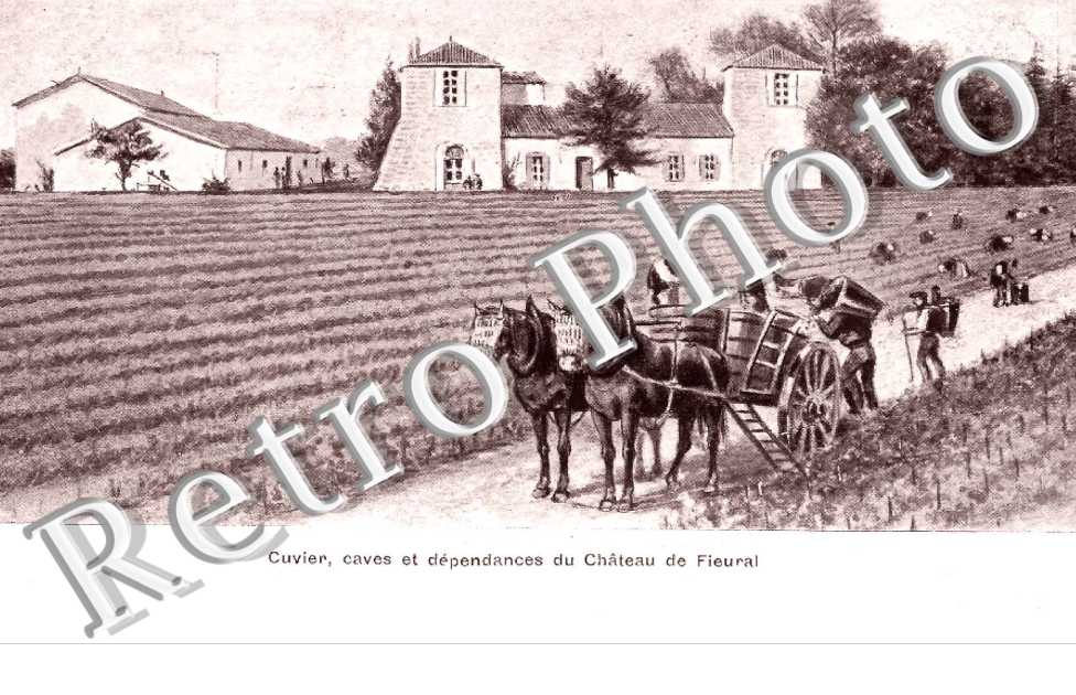 Cuvier, caves et dependances du chateau de Fieural
