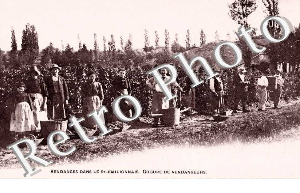 vendanges dans le st emilionnais, groupe de vendangeurs