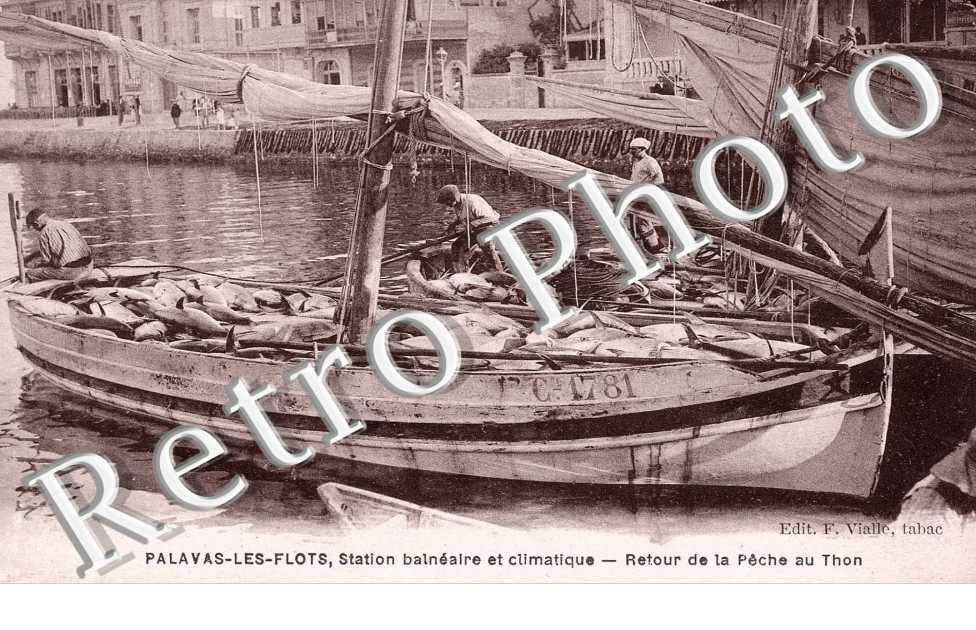 Station balneaire et climatique - retour de la peche au thon