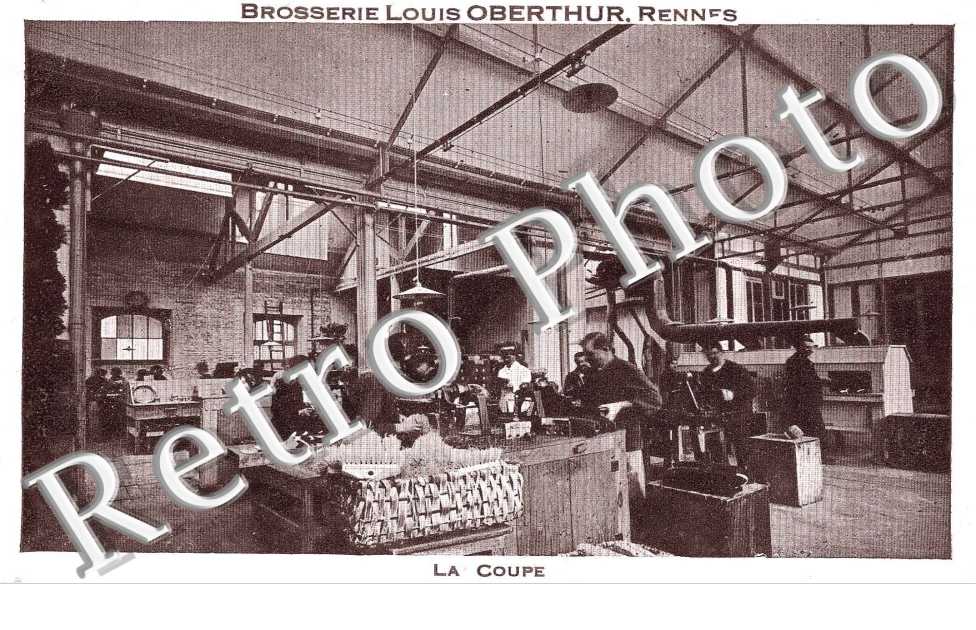 brosserie louis oberthur, la coupe
