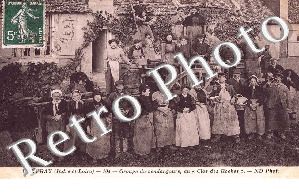 groupe de vendangeurs au "clos des roches"