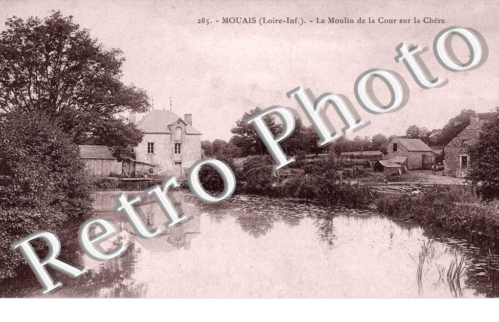 LE MOULIN DE LA COUR 