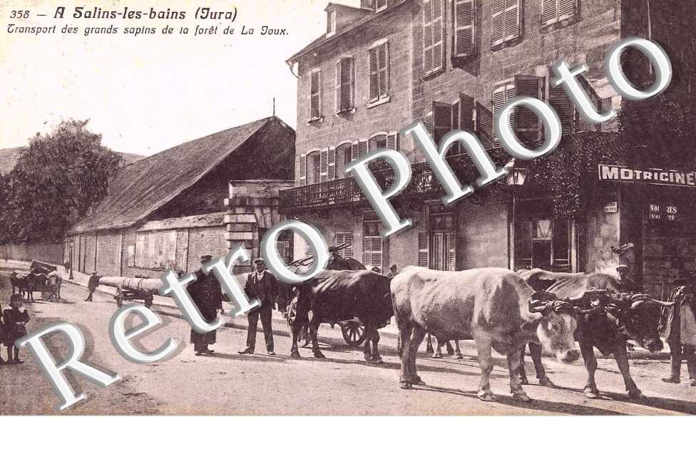 TRANSPORT DES GRANDS SAPINS