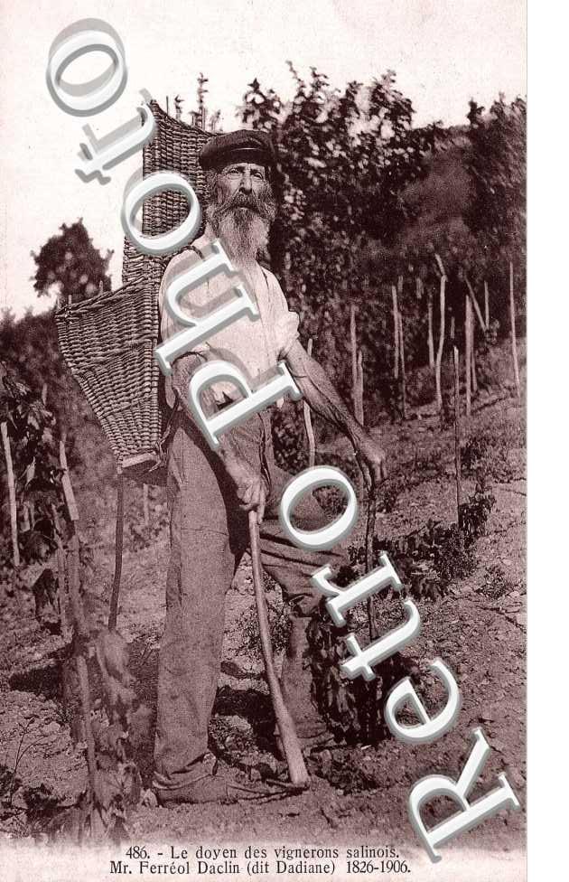 le doyen des vignerons salinois - Mr Ferreol Daclin (dit Dadiane)