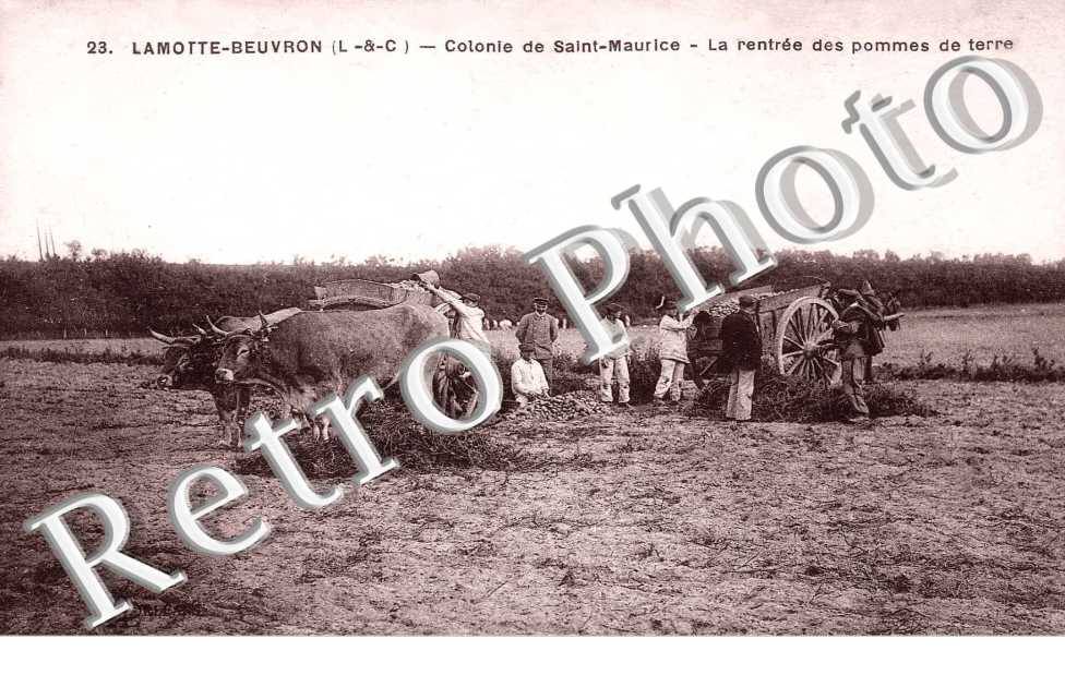 Colonie Saint Maurice
