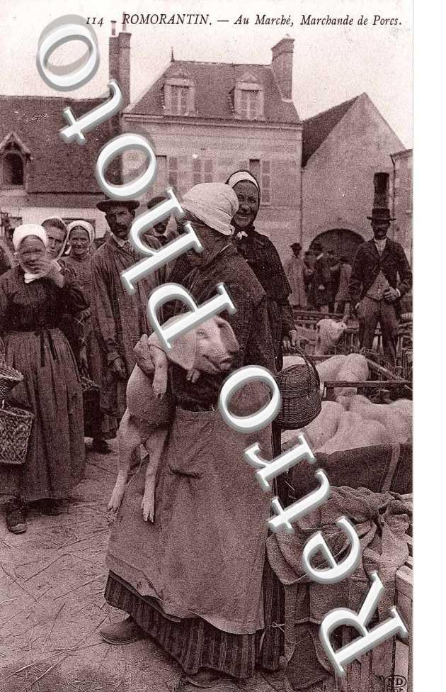au marche, marchande de porcs