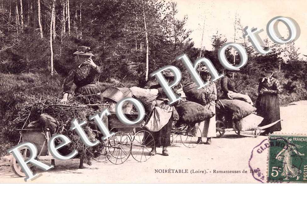 Ramasseuses du bois