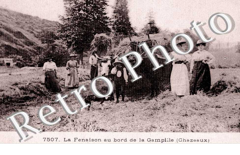 la fenaison au bord de la Gampile ( Chazeaux )