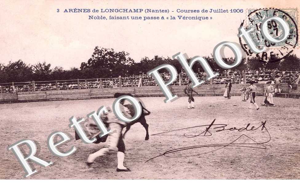 Arenes de Longchamp Courses de juillet 1906 Les taureaux dans l&#039;arebe pendant que des charpentiers reparent le toril demoli a coups de cornes.