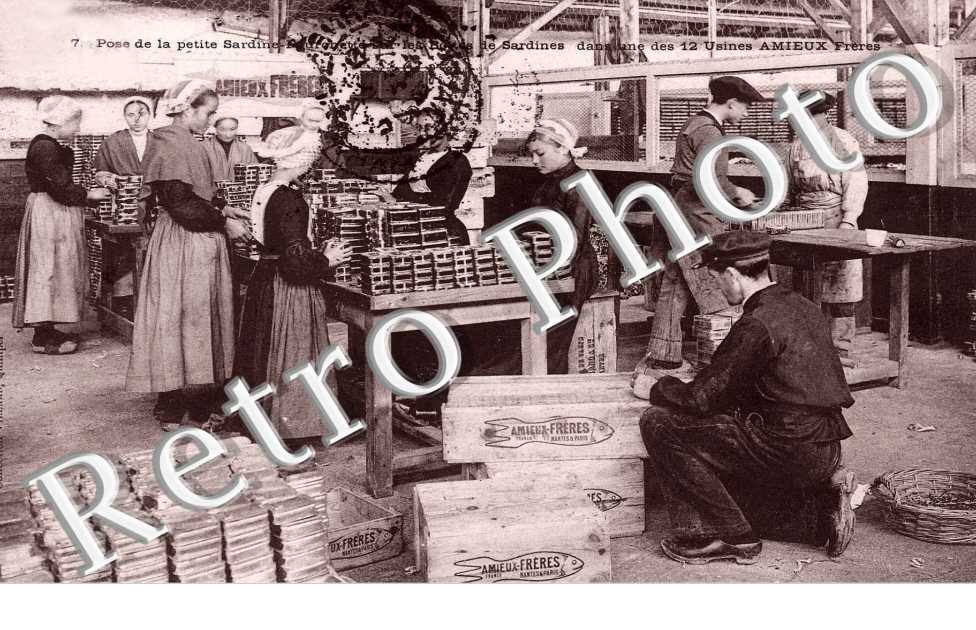 pose de la petite sardine - usines Amieux freres