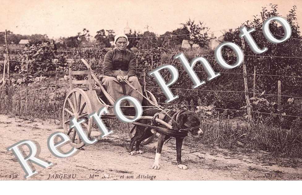 Mme Bidoug et son attelage