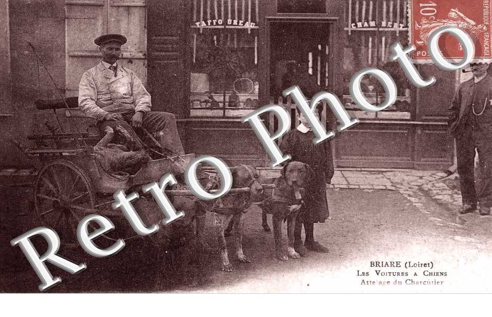 les voitures a chien, attelage du charcutier