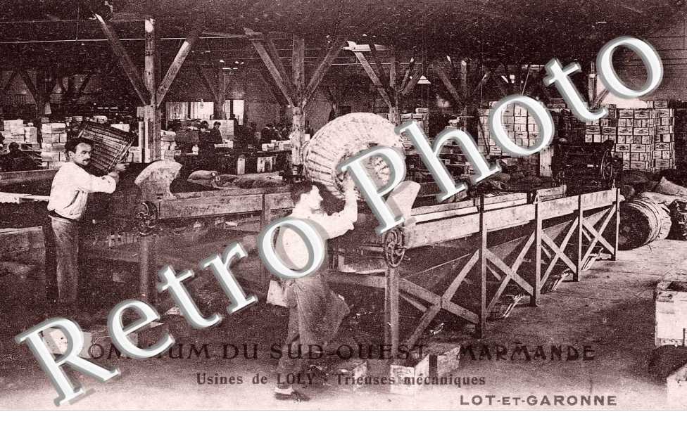 Omnium du Sud-Ouest Usines de Loly Trieuses mecaniques