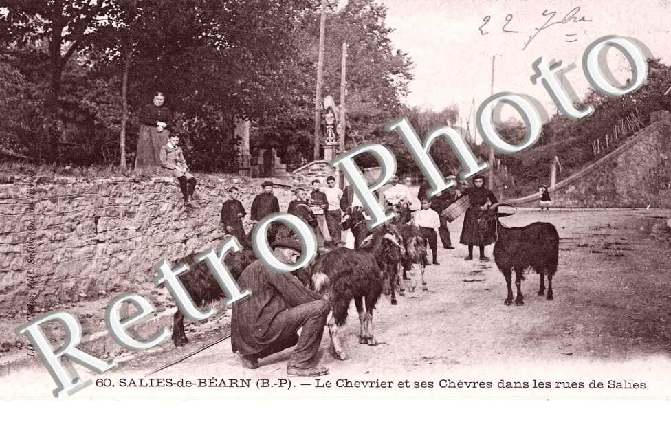 LE CHEVRIER ET SES CHEVRES
