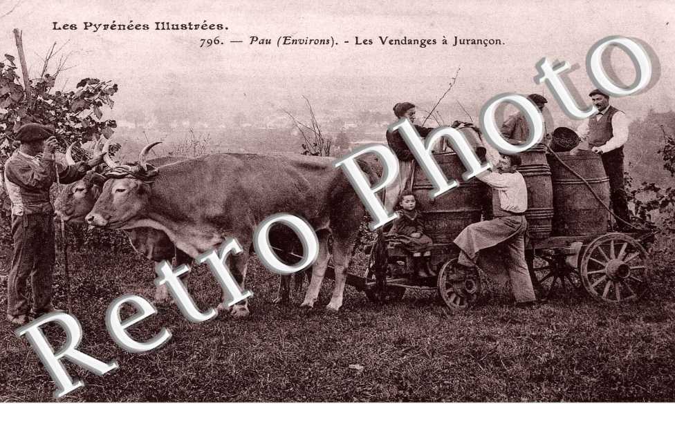 Les vendanges     