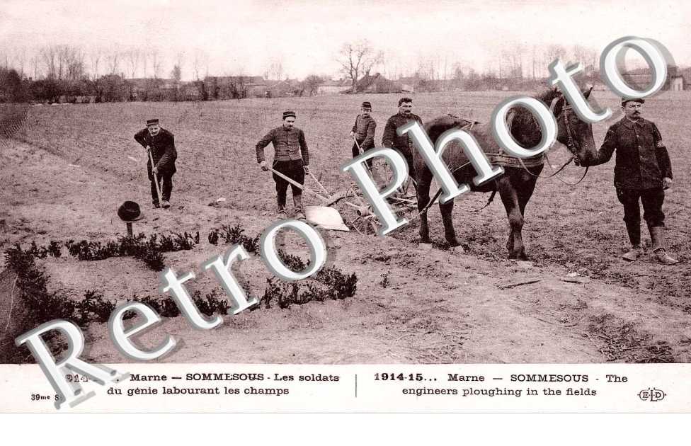 les soldats du genie labourant les champs 1914-15