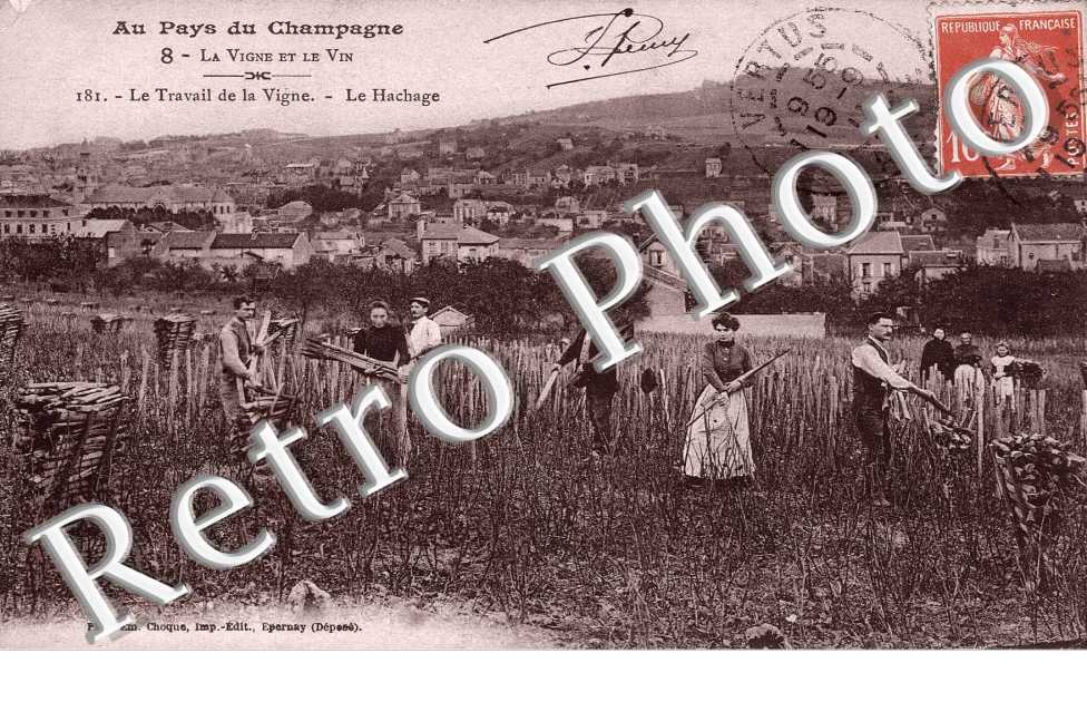 Le travail de la vigne - le hachage