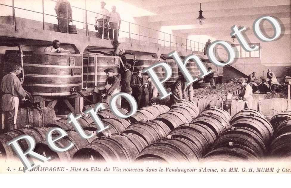 mise en futs du vin nouveau dans le vendangeoir d&#039; Avize, de MM. G. H. Mumm & cie